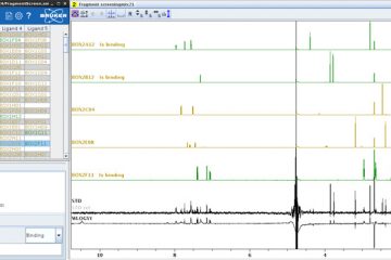 Criblage par RMN (FSB)