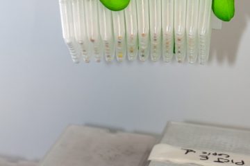Chimiothèque PICT (stock solide)