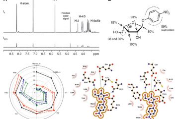 Interaction ligand-protéine (Epitope mapping par STD-NMR)