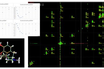 Analyse conformationnelle par RMN  (NOEs quantitatifs)