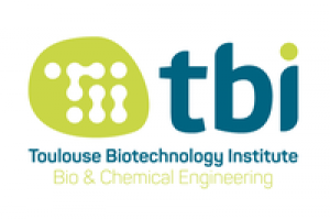 tbi